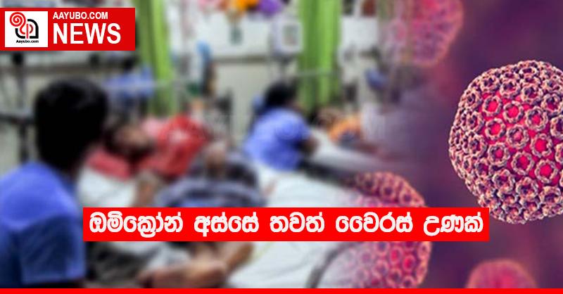 ඔමික්‍රෝන් අස්සේ තවත් වෛරස් උණක්