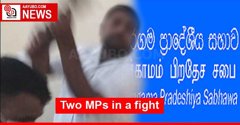 Two MPs in a fight