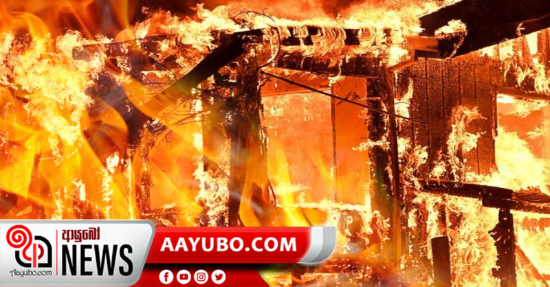 වැල්ලම්පිටියේ පරිප්පු ගබඩාවක මහ ගින්නක්