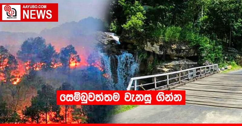 සෙම්බුවත්තම වැනසූ ගින්න