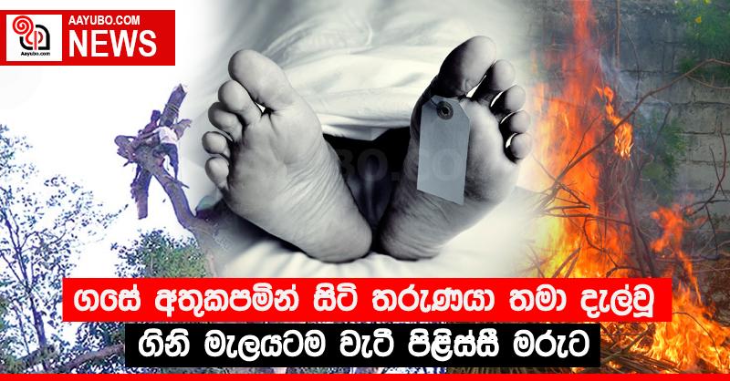 ගසේ අතුකපමින් සිටි තරුණයා තමා දැල්වූ ගිනි මැලයටම වැටී පිළිස්සී මරුට