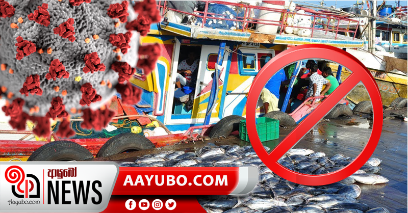 බේරුවල ධීවර වරාය වසයි – 10කට කොරෝනා