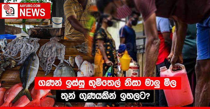 ගණන් ඉස්සූ භූමිතෙල් නිසා මාලු‍ මිල තුන් ගුණයකින් ඉහලට?