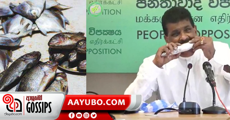 ජාත්‍යන්තර මාධ්‍යත් වාර්තා  කල දිලිප්ගේ මාළු කෑම