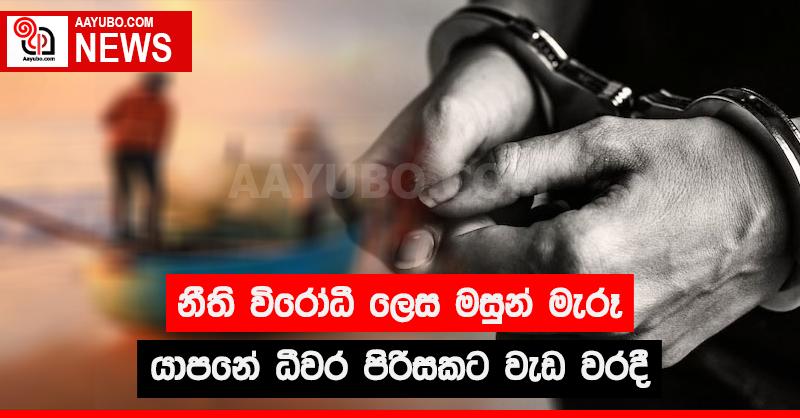 නීතිවිරෝධී ලෙස මසුන් මැරූ යාපනේ ධීවර පිරිසකට වැඩ වරදී