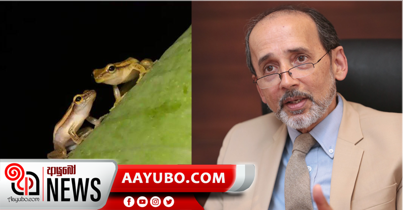 මෙරට පරිසරවේදියෙකුට ගෞරව පිණිස මැඬියෙකු නම් කරයි