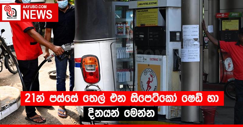 21න් පස්සේ තෙල් එන️ සිපෙට්කෝ ෂෙඩ් හා දිනයන් මෙන්න