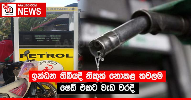 ඉන්ධන තිබියදී නිකුත් නොකළ තවලම ෂෙඩ් එකට වැඩ වරදී