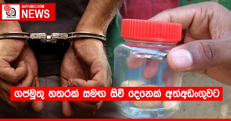 ගජමුතු හතරක් සමඟ සිව් දෙනෙක් අත්අඩංගුවට