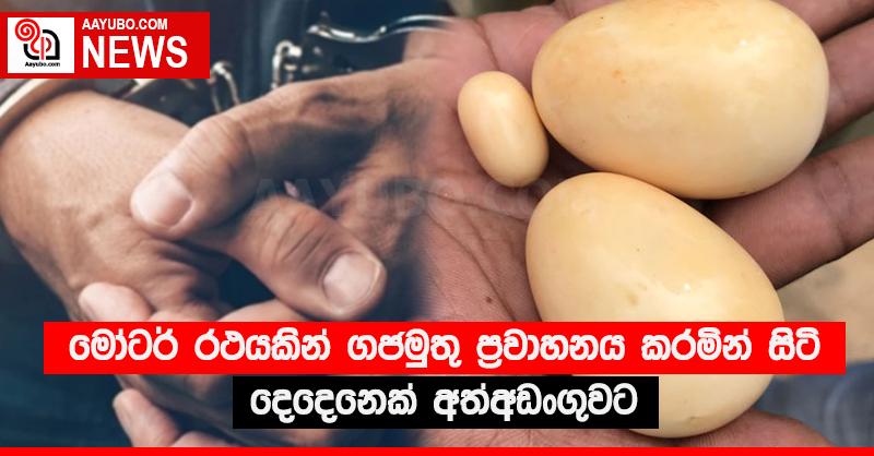 මෝටර් රථයකින් ගජමුතු ප්‍රවාහනය කරමින් සිටි දෙදෙනෙක් අත්අඩංගුවට