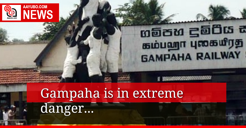 Many covid cases reported from Gampaha..