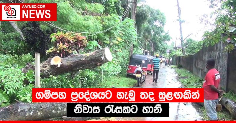 ගම්පහට ප්‍රදේශයට හැමූ තද සුළඟකින් නිවාස රැසකට හානි