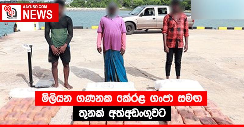 මිලියන ගණනක කේරළ ගංජා සමඟ තුනක් අත්අඩංගුවට