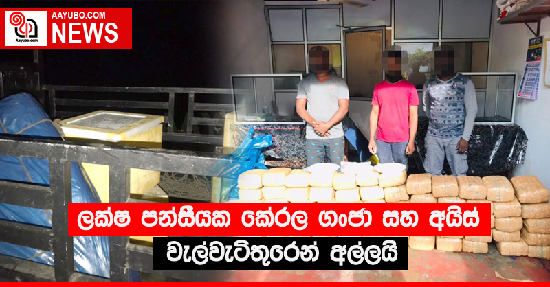 ලක්ෂ පන්සීයක කේරල ගංජා සහ අයිස් වැල්වැටිතුරෙන් අල්ලයි