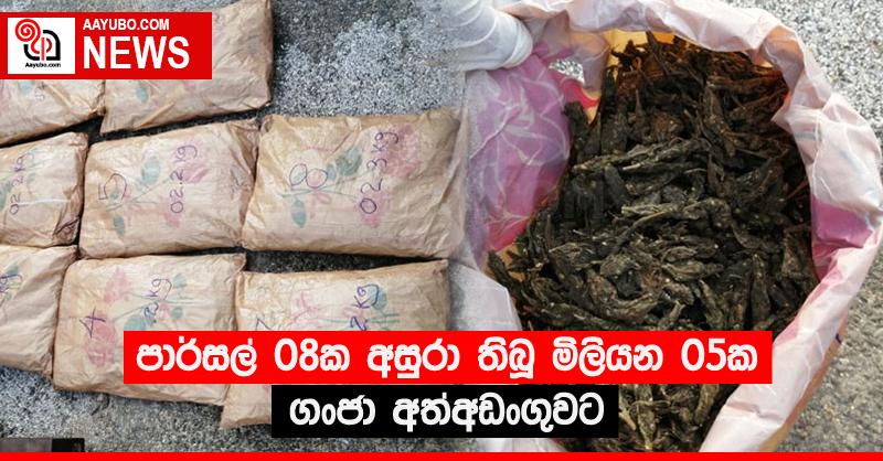 පාර්සල් 08ක අසුරා තිබූ මිලියන 05ක ගංජා අත්අඩංගුවට
