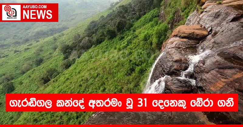 ගැරඬිගල කන්දේ අතරමං වූ 31 දෙනෙකු බේරා ගනී