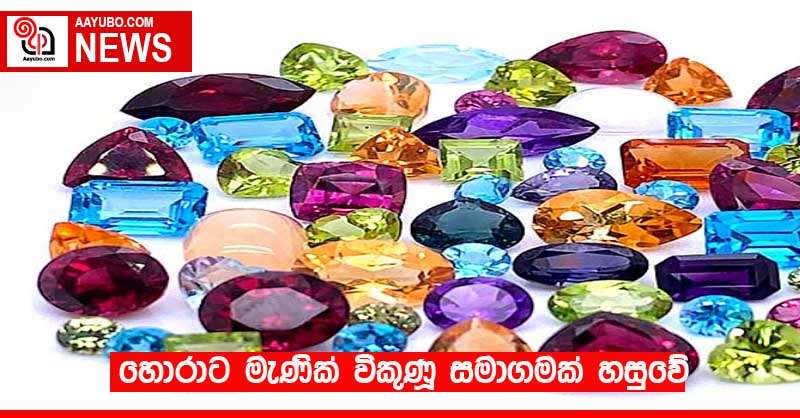 හොරාට මැණික් විකුණූ සමාගමක් හසුවේ