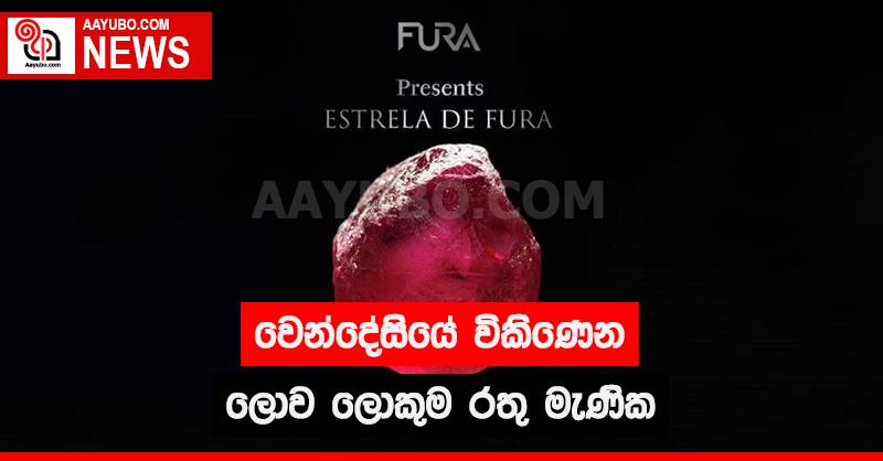 වෙන්දේසියේ විකිණෙන ලොව ලොකුම රතු මැණික