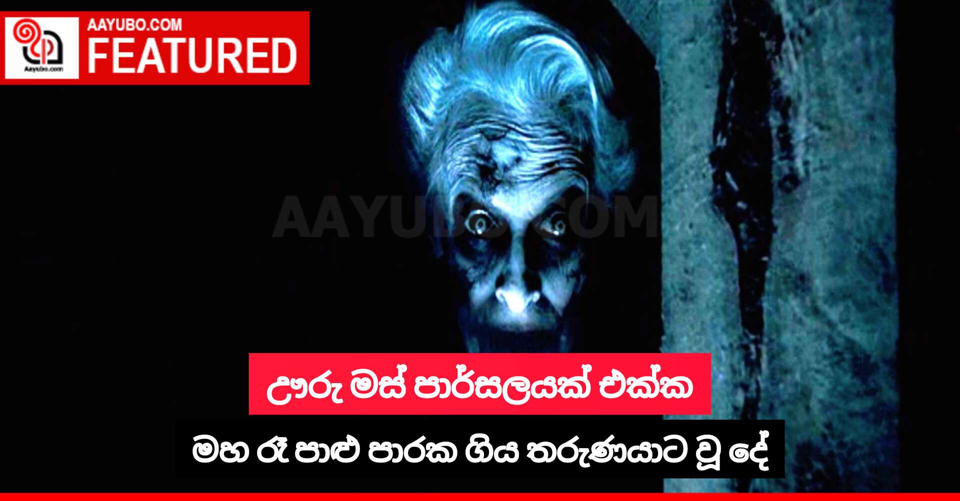ඌරු මස් පාර්සලයක් එක්ක මහ රෑ පාළු පාරක ගිය තරුණයාට වූ දේ