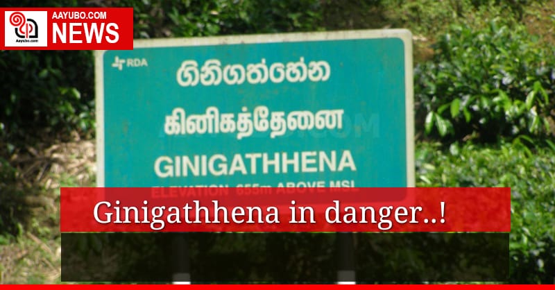 Ginigathhena is in a big danger 