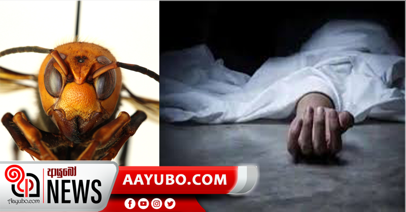 දෙඹර ප්‍රහාරයකින් දැරියක් මරු දකී