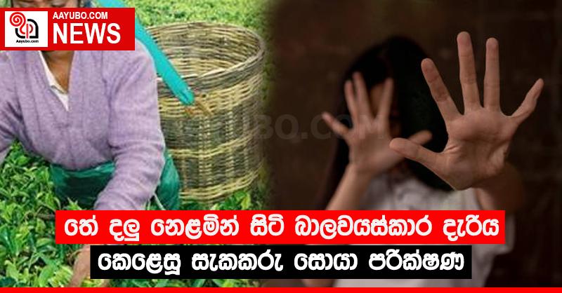 තේ දලු‍ නෙළමින් සිටි බාලවයස්කාර දැරිය කෙළෙසූ සැකකරු සොයා පරික්‍ෂණ