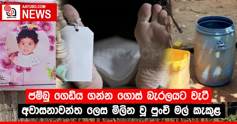ජම්බු ගෙඩිය ගන්න ගොස් බැරලයට වැටී අවාසනාවන්ත ලෙස මිලින වූ පුංචි මල් කැකුළ