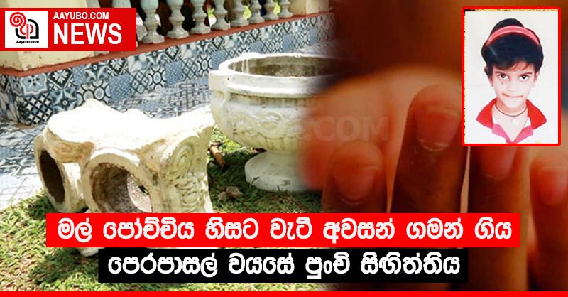 මල් පෝච්චිය හිසට වැටී අවසන් ගමන් ගිය පෙරපාසල් වයසේ පුංචි සිඟිත්තිය