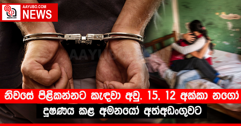 නිවසේ පිළිකන්නට කැඳවා අවු. 15, 12 අක්කා නගෝ දූෂණය කළ අමනයෝ අත්අඩංගුවට