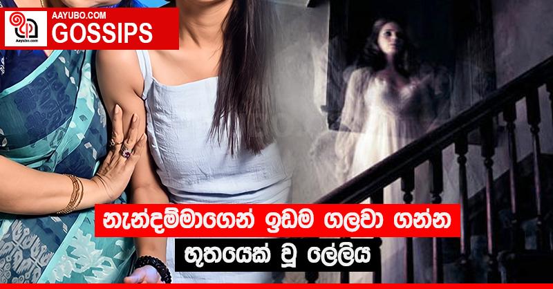 නැන්දම්මාගෙන් ඉඩම ගලවා ගන්න භූතයෙක් වූ ලේලිය 