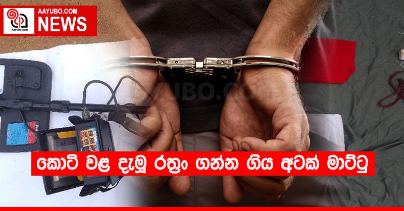 කොටි වළ දැමූ රත්‍රං ගන්න ගිය අටක් මාට්ටු