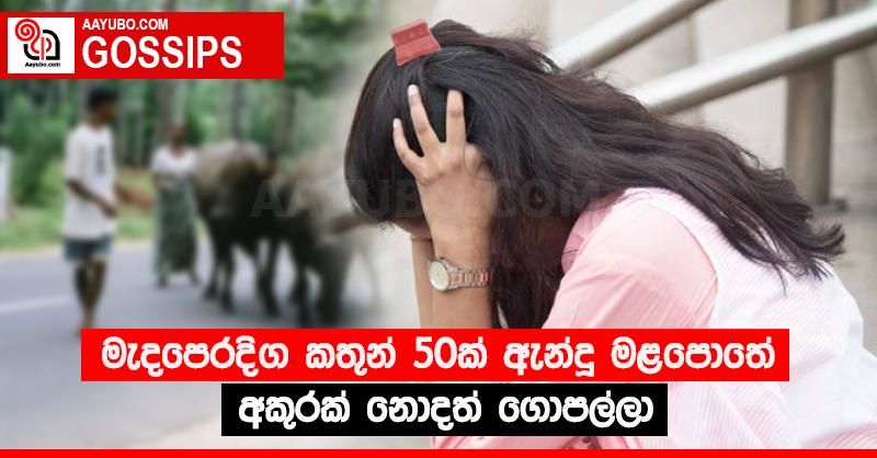 මැදපෙරදිග කතුන් 50ක් ඇන්දූ මළපොතේ අකුරක් නොදත් ගොපල්ලා