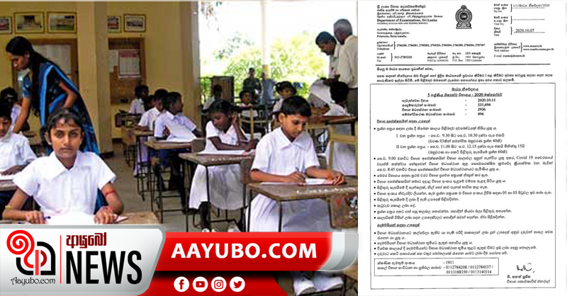 ශිෂ්‍යත්ව විභාග අපේක්ෂකයින්ට උපදෙස් මාලාවක්