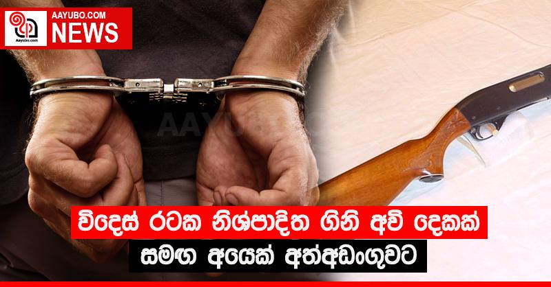 විදෙස් රටක නිශ්පාදිත ගිනි අවි දෙකක් සමඟ අයෙක් අත්අඩංගුවට