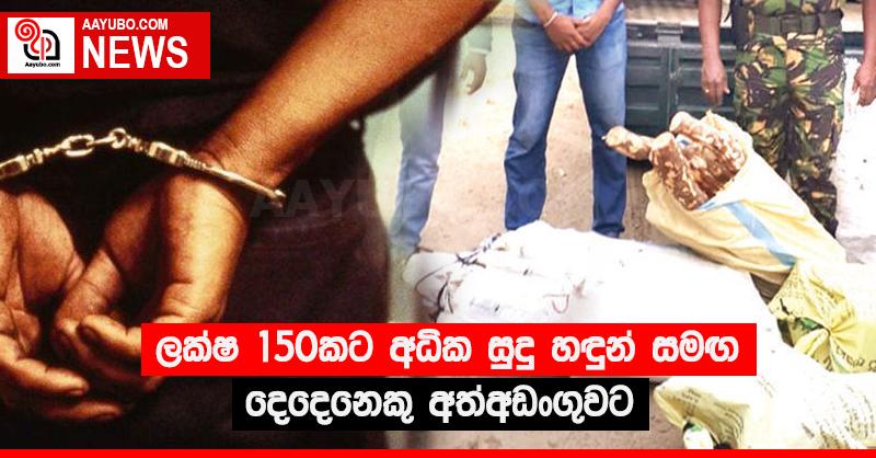 ලක්ෂ 150කට අධික සුදු හඳුන් සමඟ දෙදෙනෙකු අත්අඩංගුවට