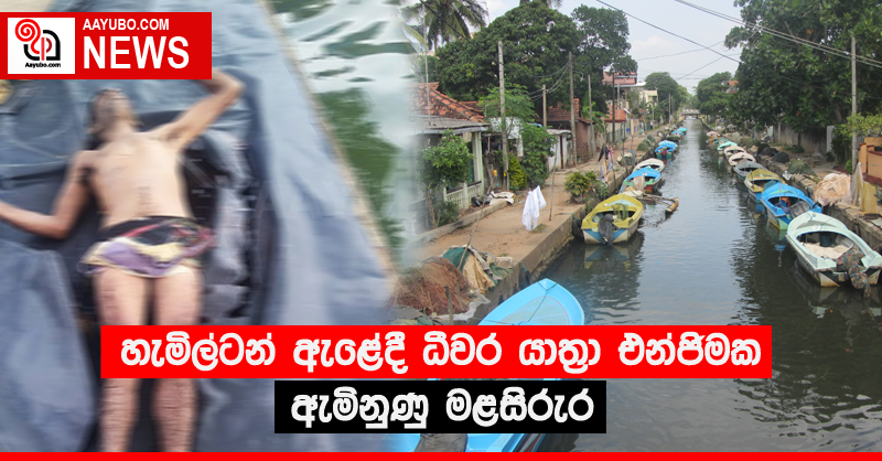 හැමිල්ටන් ඇළේදී ධීවර යාත‍්‍රා එන්ජිමක ඇමිනුණු මළසිරුර