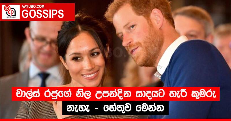චාල්ස් රජුගේ නිල උපන්දින සාදයට හැරී කුමරු නැහැ - හේතුව මෙන්න