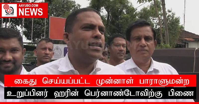 கைது செய்யப்பட்ட முன்னாள் பாராளுமன்ற உறுப்பினர் ஹரின் பெர்னாண்டோவிற்கு பிணை