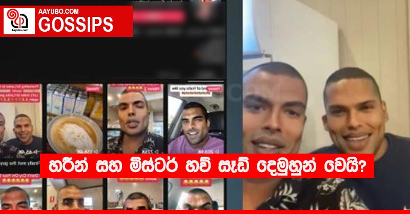 හරීන් සහ මිස්ටර් “හව් සෑඩ්” දෙමුහුන් වෙයි?