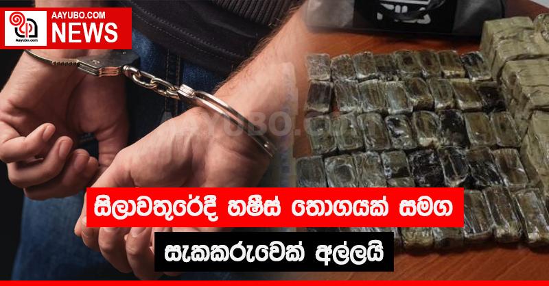 සිලාවතුරේදී හෂීස් තොගයක් සමග සැකකරුවෙක් අල්ලයි