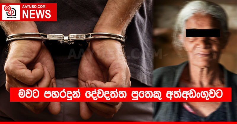 මවට පහරදුන් දේවදත්ත පුතෙකු අත්අඩංගුවට