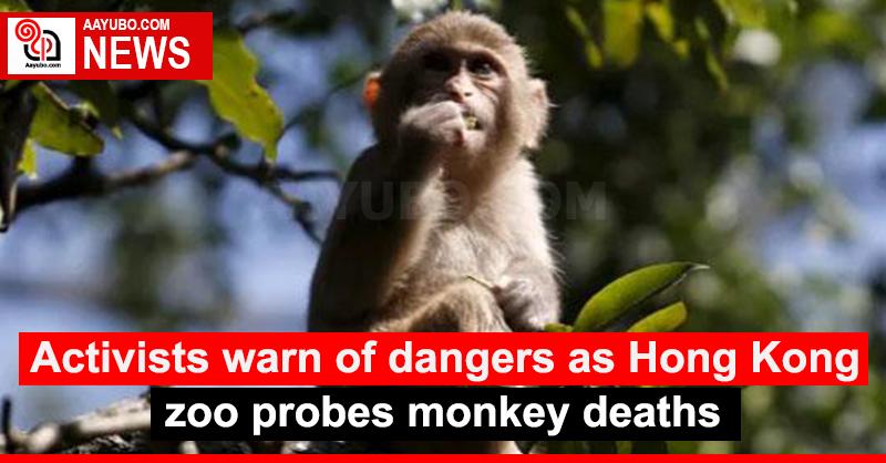 Activists warn of dangers as Hong Kong zoo probes monkey deaths