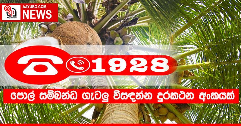 පොල් සම්බන්ධ ගැටළු විසඳන්න දුරකථන අංකයක්