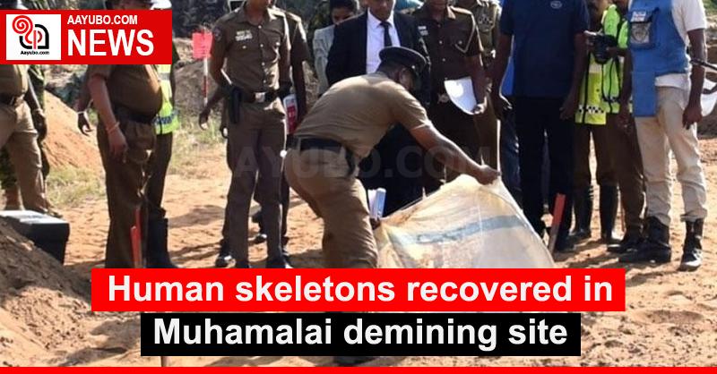 Human skeletons recovered in Muhamalai demining site