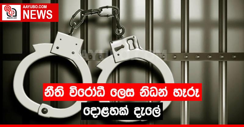 නීති විරෝධී ලෙස නිධන් හෑරූ දොළහක් දැලේ
