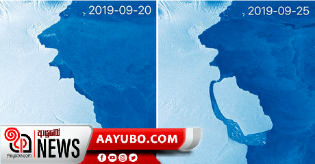 අමෙරි හිම තට්ටුවෙන් දැවැන්ත අයිස් කුට්ටියක් කැඩී යයි