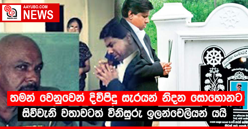තමන් වෙනුවෙන් දිවිපිදූ සැරයන් නිදන සොහොනට සිව්වැනි වතාවටත් විනිසුරු ඉලන්චෙලියන් යයි