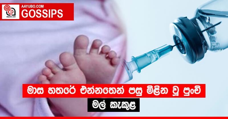මාස හතරේ එන්නතෙන් පසු මිළින වූ පුංචි මල් කැකුළ 