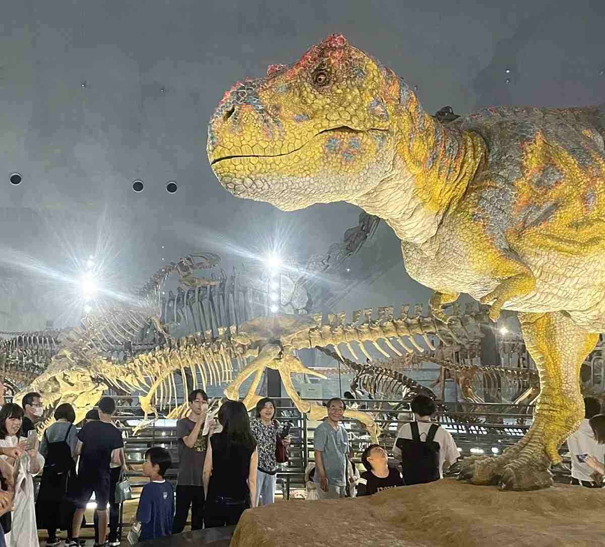 Fukui ප්‍රාන්ත Dinosaur කෞතුකාගාරය නැවත විවෘත කෙරේ