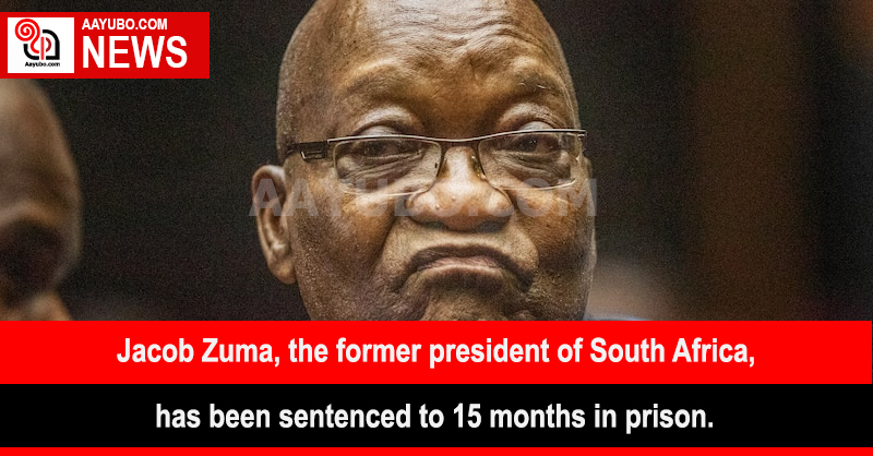 Jacob Zuma, the former president of South Africa, has been sentenced to 15 months in prison.